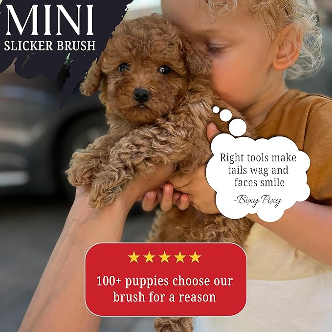 Mini Brush for Dogs and Cats - Coated Tips Massage Skin - Long Pins Remove Mats, Tangles in Long and Poodle Fur