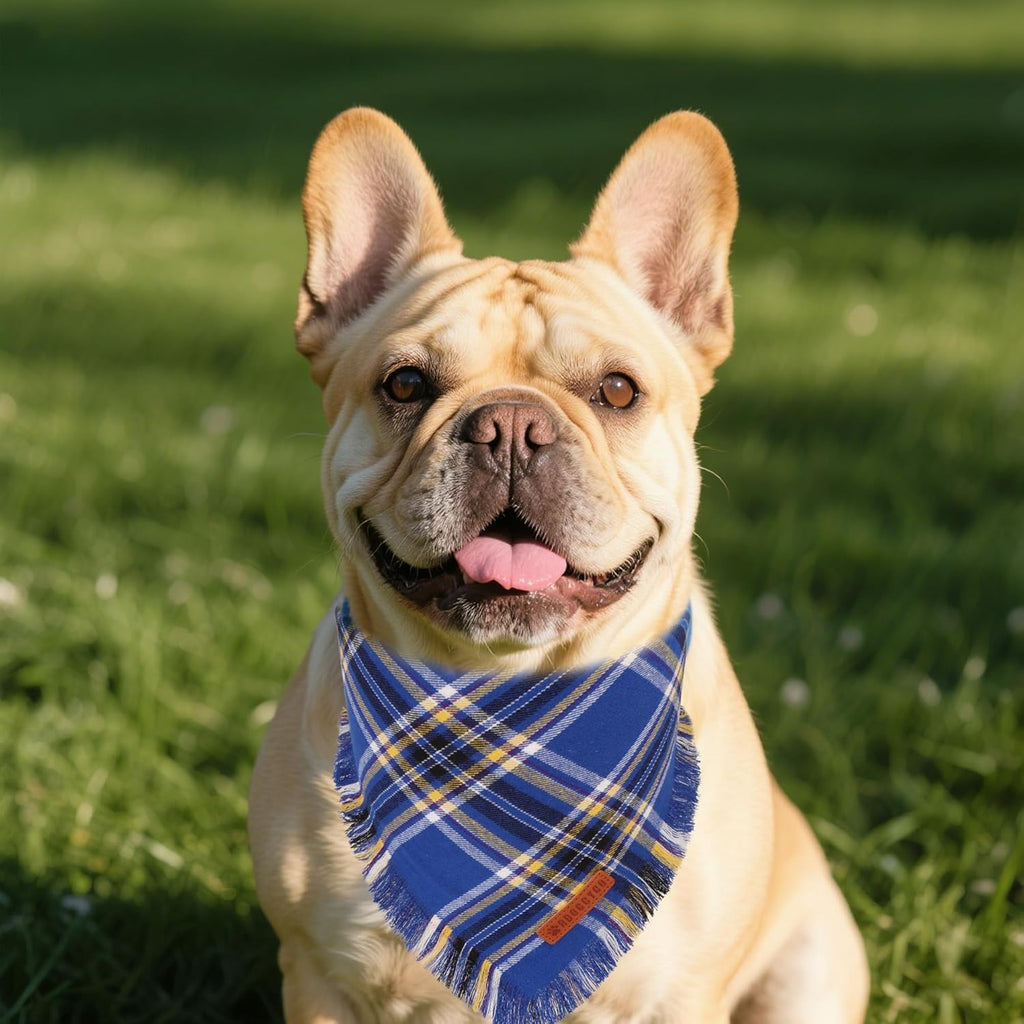 ADOGGYGO Dog Bandanas Boy with Tassels Edges, Stylish Blue Plaid Pet Scarf, Soft Cotton Fabric, Adjustable Reversible Plaid Bandanas for Small Dogs (Small)