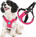 Gooby Escape Free Sport Dog Harness, Choke-Free, Pink, Large | Patented escape-free frame; Reduces choking; 4-point adjustment; Soft neoprene padding; Durable webbed straps