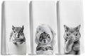 Funny Squirrel Hand Towels for Bathroom Kitchen Decor Set of 3, Squirrel Lover Lover Gifts, Funny Kids Bathroom Hand Towels,16x24 Inches