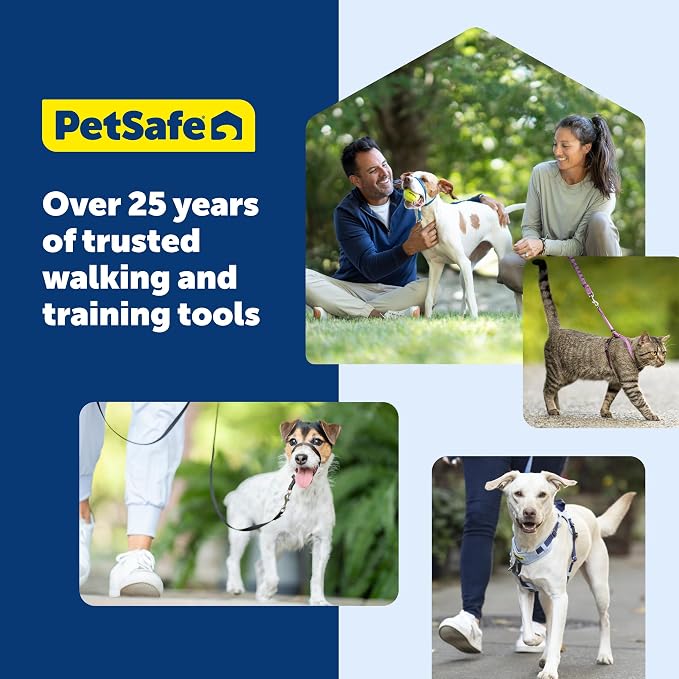 PetSafe Come With Me Kitty Harness and Bungee Leash, Harness for Cats, Large, Black/Silver, CWMK-L-BLK | Adjustable 2-Point Fit Applies Gentle Pressure to Shoulders, Not Neck, for Average and Large Cats with 13 in - 18 in Girth
