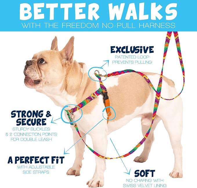 2 Hounds Design Freedom No Pull Dog Harness, 1 inch XL, Rose | Discourages Pulling, Comfortable Control Adjustable Dog Harness for Extra Large Sized Dogs, Made in USA (Leash Not Included)