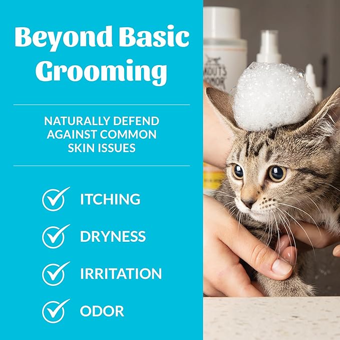 Skout's Honor Unscented Probiotic Cat Shampoo & Conditioner with Avocado Oil & Omega-3s, 97% Natural, Paraben & Sulfate-Free, Cruelty-Free, 16oz, Fragrance Free