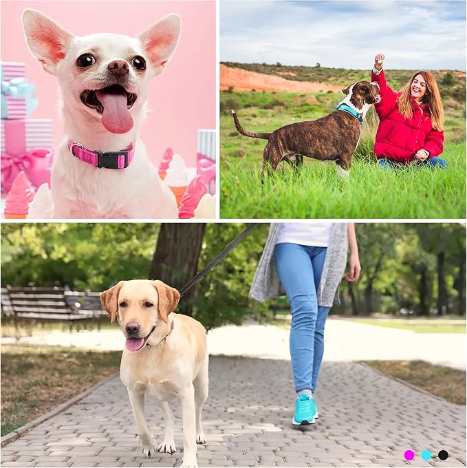 Soft Neoprene Padded Dog Collar and Leash Set for Small Medium Large Dogs, Reflective Durable Nylon Dog Collar with 5ft Leash Easy for Walking, Black,Neck fit 12.5-19.5’’