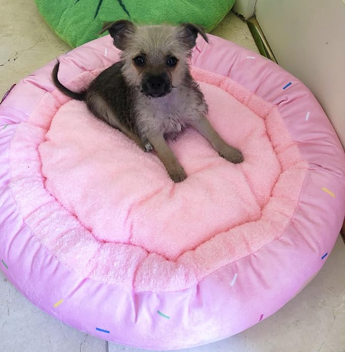 TONBO Soft Plush Small Cute and Cozy Donut Dog Cat Bed, Washer and Dryer Friendly (Donut)