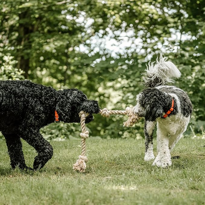 PetiFine Dog Rope Toys for Aggressive Chewers, Heavy Duty Cotton Chew Toys for Large Medium Dogs- 3 Feet 5 Knots Tough Interactive Tug of War Dog Pull Rope, Teeth Cleaning