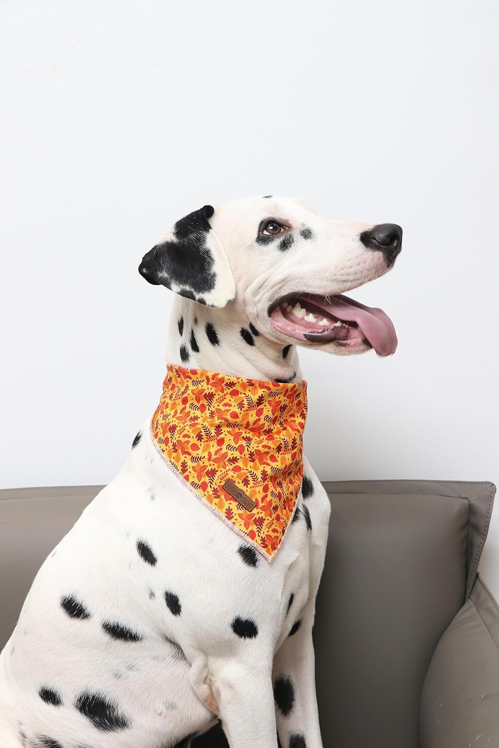Lionet Paws Fall Dog Bandana for Small Medium Large Dogs, Cat Dog Kerchief Washable Dog Triangle Bibs Scarf for Girl or Boy