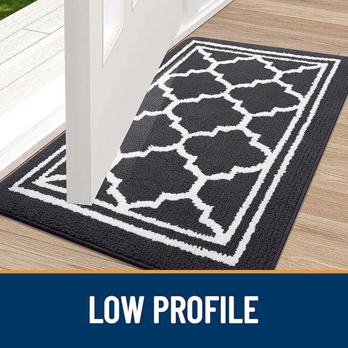 Buganda Indoor Door Mat, Dirt-Resistant and Absorbent Doormat, Anti-Slip, Low Profile Floor Mats for Inside Entryway, Front, and Back Door Entrance (36x24 Inches, Dark Grey)