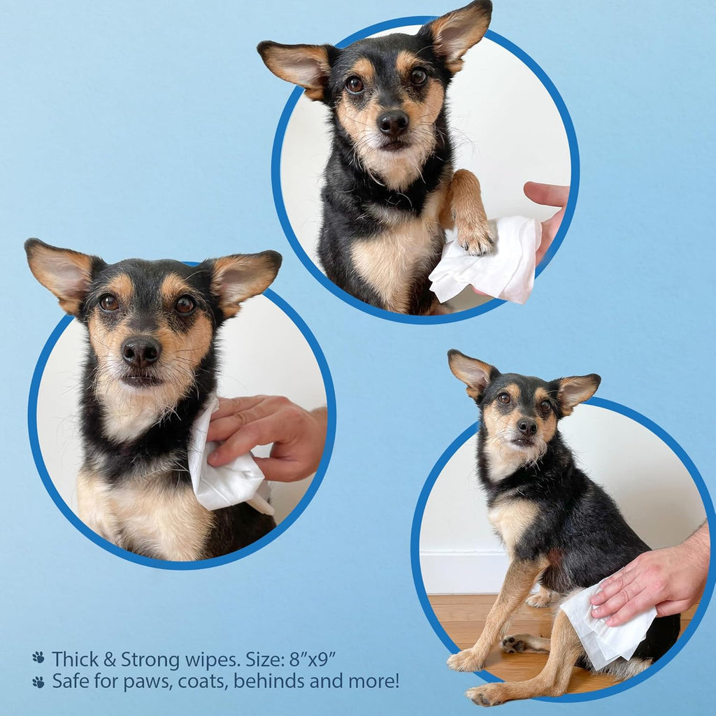Best Pet Supplies Pet Wipes for Dogs. Everyday comfort that fits naturally into your space.