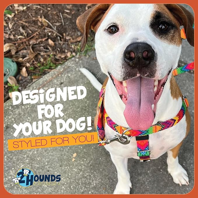 2 Hounds Design Freedom No Pull Dog Harness and Leash, 5/8" MD, Red | Promotes Easy Walking & Comfortable Control, Secure Fit, Adjustable Harness and Leash Set for Medium Sized Dogs, Made in USA