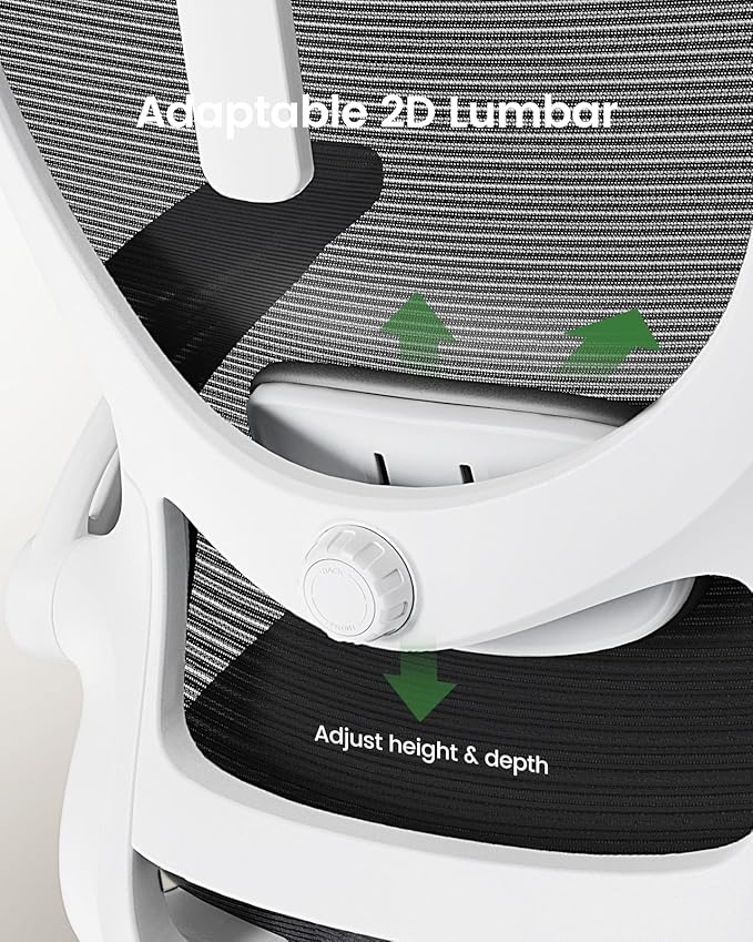 Marsail Ergonomic Office Chair: Office Desk Chair with High Back Mesh and Adjustable Lumbar Support Rolling Work Swivel Task Chairs with Wheel 3D Armrests and Headrest