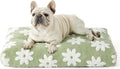LE SURE Cute Aesthetic Bed Medium Size Dog,Jacquard Thick Pet Pillow 30x20 | Shredded Chopped Foam,Modern Plush Crate Cushion Gift for Medium Size Dog, Waterproof Washable Cover, Nonslip Bottom, Green
