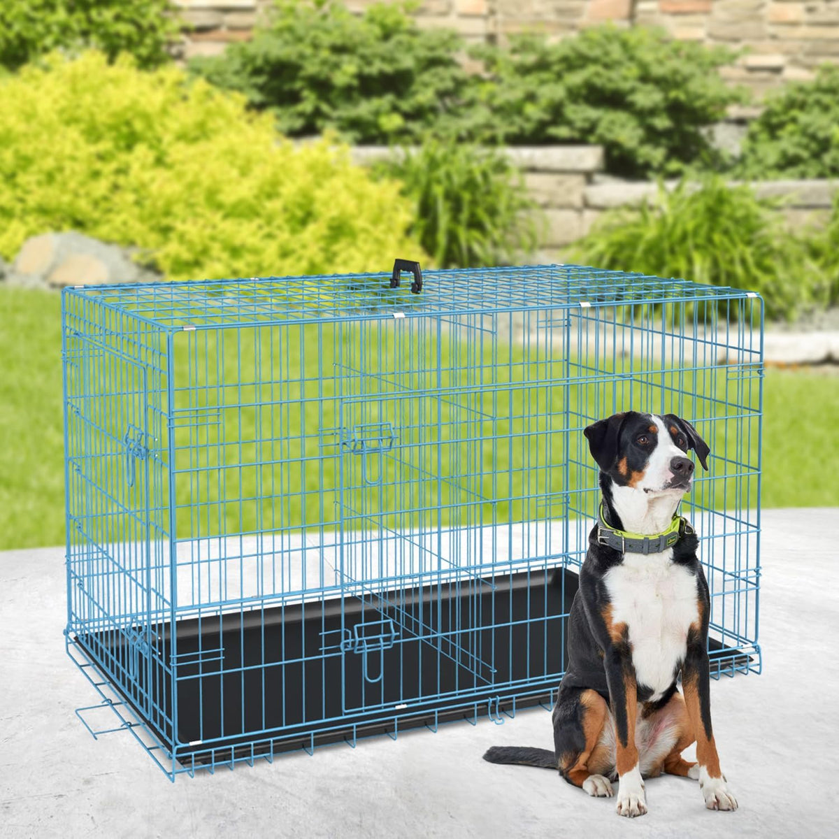 BestPet | Dog Crate | 36" | Blue | Foldable Metal Kennel with Double Doors, Secure Slide-Bolt Latches, Leakproof Tray | Portable Dog Cage for Medium Sized Breeds | for Travel, Indoor & Outdoor Use