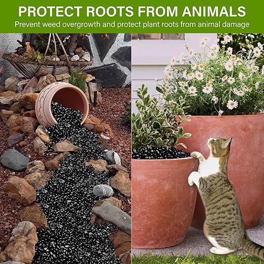 NUPICK 12lb River Rocks for Plants Indoor, 3/8 Inch Black Pebbles for Vases Fillers, Decorative Pea Gravel for Fish Tank, Natural Polished Stones for Succulent, Bonsai, Landscaping, Bird Baths