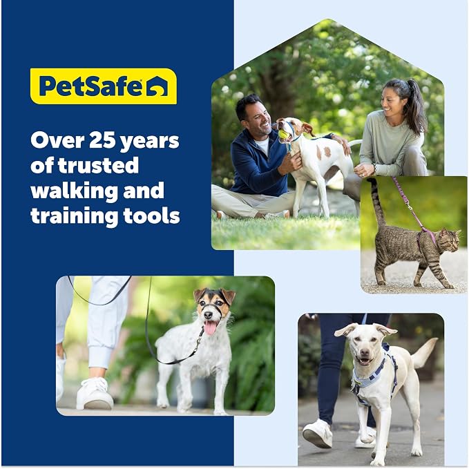 PetSafe Easy Walk Comfort No Pull Dog Harness, Green, Large | Stops Pulling on First Use with Front Martingale Loop, Full-Body Padding, 5-Point Adjustable Fit