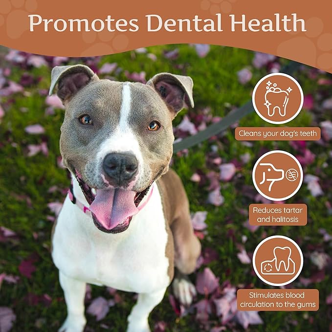 Wildfang® Coffee Wood Dog Chew, Medium - Tough Chew Toys for Aggressive Chewers, Dog Teething Toys for Puppies, Training for Chewing Muscles, Coffee Tree Sticks for Medium Dogs (33-55 lbs), Pack of 3