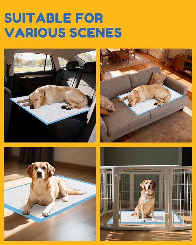 60 Count-30" x 36" XXL Puppy Pads, Extra Large Pee Pads for Dogs, Super Absorbent Disposable Dog Training Pads, Quick Drying, Leak-Proof, Ultra Thick Potty Pads for Dogs, Puppies, Doggie, Cats