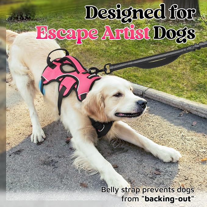 rabbitgoo Escape Proof Dog Harness for Medium, No Pull with Lift Handle | No Escape, Full Soft Padded, Reflective Adjustable Vest, Leash Clip for Walking Hiking Training, Peach Pink, Medium