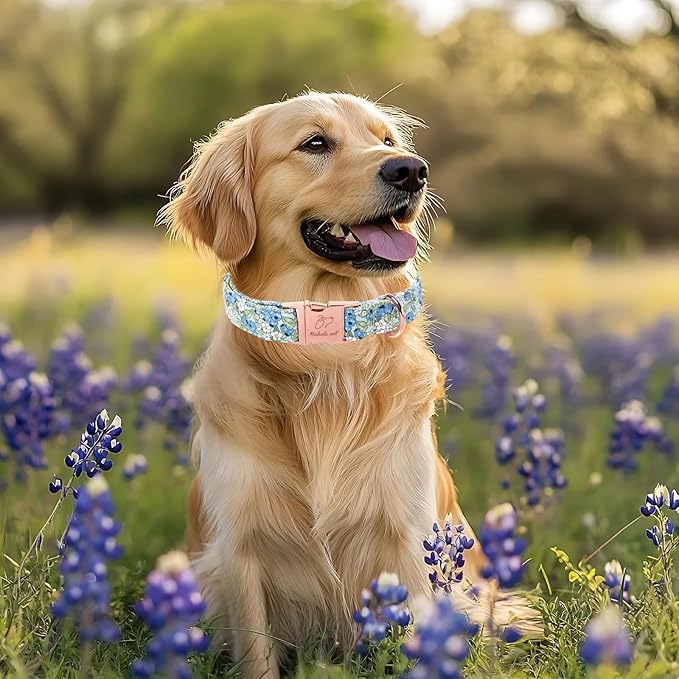 Blueberry Garden Dog Collar, Spring/Summer Cottagecore Floral Dog Collars, Adjustable Heavy Duty Girl Dogs Collar for Small Medium Large Dogs with Metal Buckle M