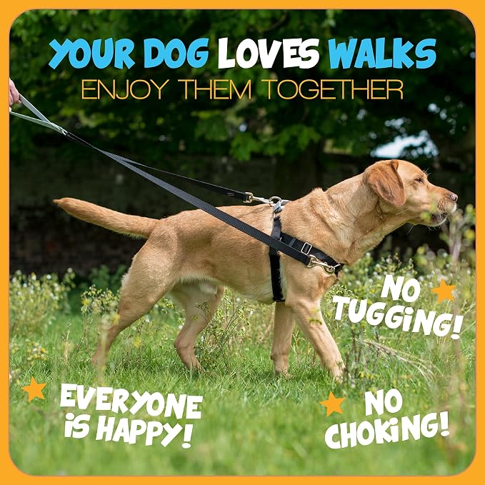 2 Hounds Design Freedom No Pull Dog Harness, 1 inch XL, Rose | Discourages Pulling, Comfortable Control Adjustable Dog Harness for Extra Large Sized Dogs, Made in USA (Leash Not Included)