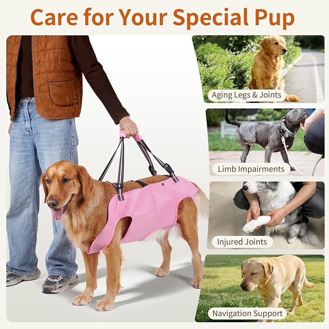 Full Body Dog Lift Harness, Support Senior & Disabled Dogs Walking | Help Up & Down Stairs Grooming, Dog Sling Backpack, Front Hind Leg Joint Injuries, Reflective, Soft Padded Handle | Pink, M