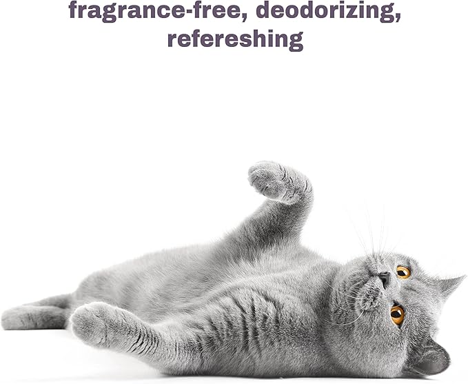 Soothing Hypoallergenic Cat Shampoo – Easy at-Home Cat Grooming | Deodorizes | Gentle & Anti-Itch | Natural & Allergy-Safe Cat Shampoo Sensitive Skin – Fragrance Free | 9 fl oz