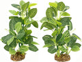 Silk Aquarium Plants (2-Pack) 9.8 Inch Artificial Plastic Fish Fish Habitat Decor, Small to Moderate Size Aquarium Decorations, Safe Green Plants for Freshwater Tanks