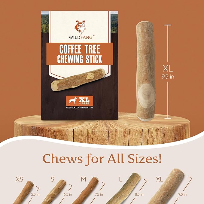 Wildfang® Coffee Wood Dog Chew, XL - Tough Chew Toys for Aggressive Chewers, Dog Teething Toys for Puppies, Training for Chewing Muscles, Coffee Tree Sticks for X-Large Dogs (Over 99 lbs)
