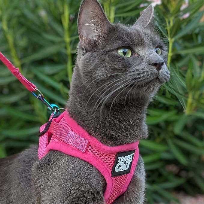 Travel Cat Harness and Leash Set - Adjustable Fit Mesh Cat Harness and Reflective Strap - Comfort Walking Vest for Kitten for Outdoor Walking, Hiking (Large)