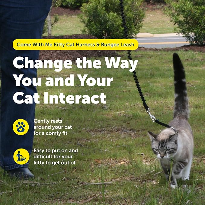 PetSafe Come With Me Kitty Harness and Bungee Leash, Harness for Cats, Medium, Black/Silver, CWMK-M-BLK | Adjustable 2-Point Fit Applies Gentle Pressure to Shoulders, Not Neck, for Small & Average Cats with 10.5 in - 14 in Girth