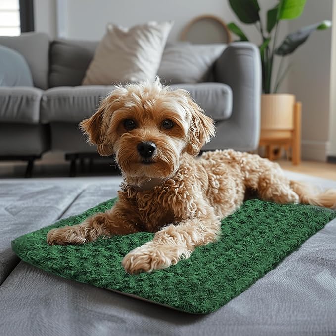 Washable Dog Bed Plush Orthopedic Outdoor Crate Mat with Non-Slip Bottom,Luxe Soft Kennel Pad for Pets,Cozy Cage Cushion & Pet Sleeping Mattress Large Sized,Medium,Small Dogs,24 x 18 inch,Green