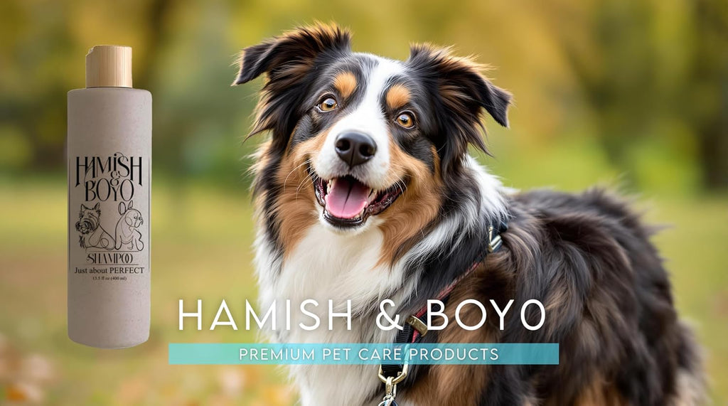 Natural Itch Relief Dog Shampoo – Hypoallergenic & Anti-Itch, Soothes Dry, Sensitive Skin, Oatmeal & Aloe, Lavender Scent, Tear-Free, Safe for Puppies & All Breeds, Made in USA by Hamish&Boyo
