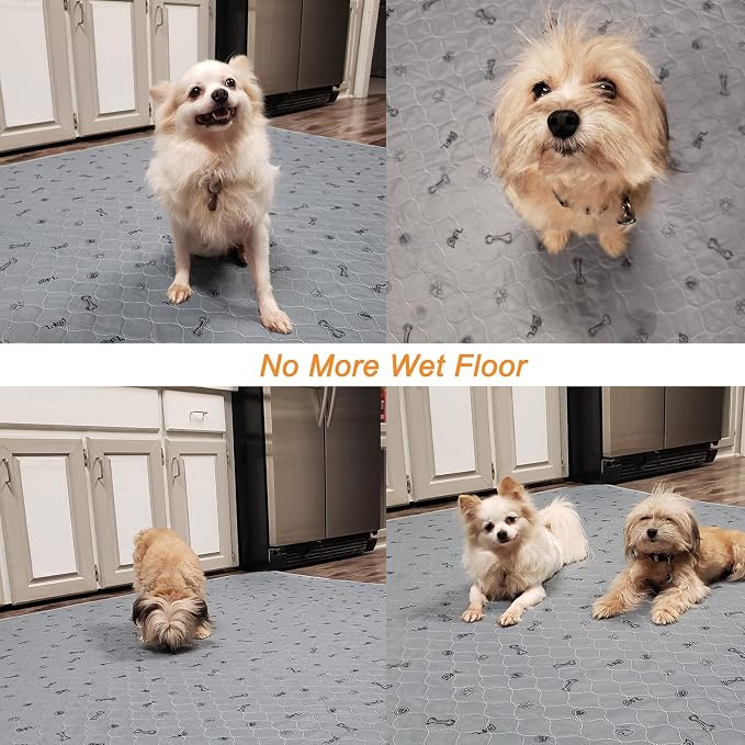 Washable Pee Pads for Dogs, 2 Pack Non-Slip Reusable Puppy Pads 36x36 | Absorbent, Bone Print, Machine Wash Whelping Pads, Dog Mats for Senior Dog, Floor Protector, Crate, Potty Training