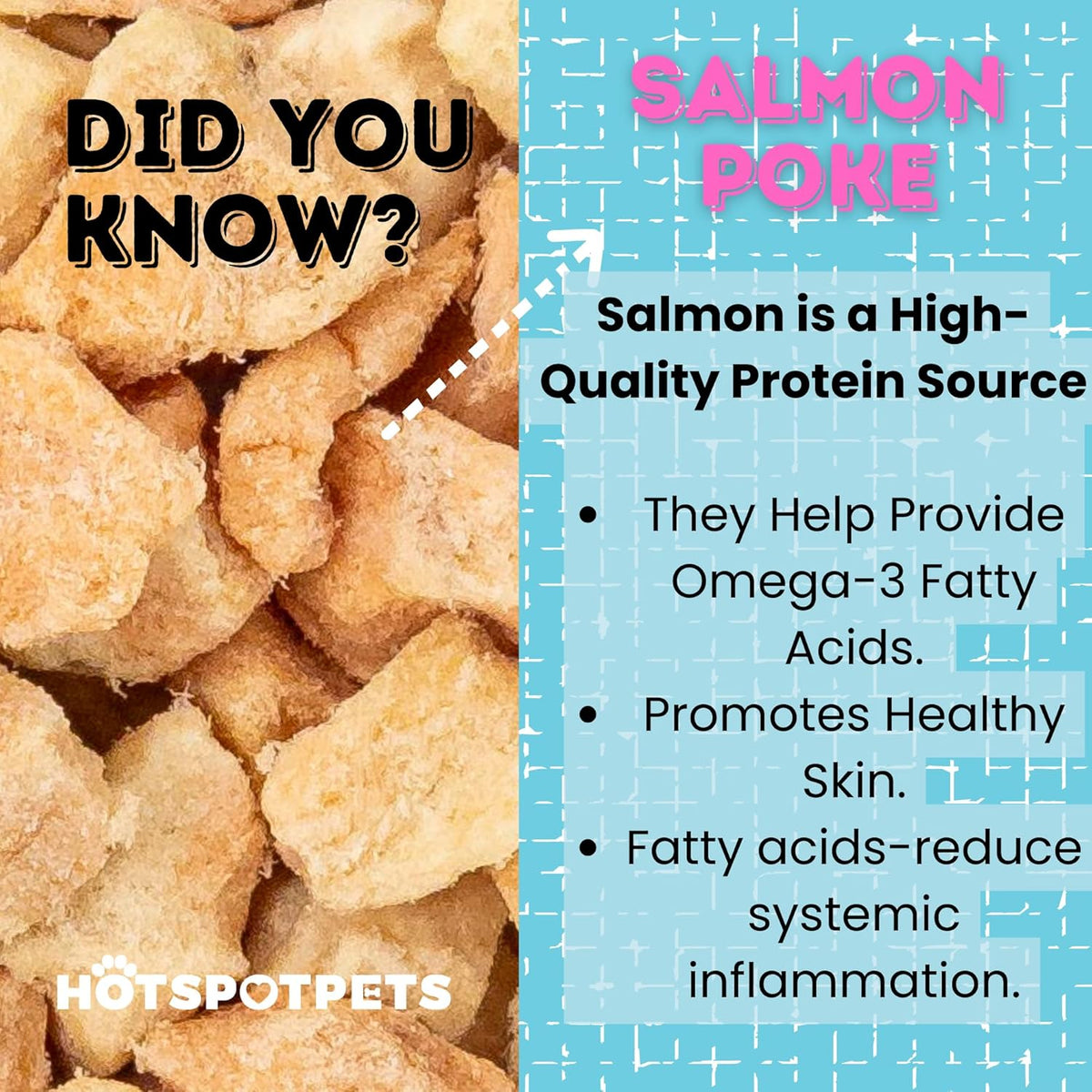 hotspot pets Freeze Dried Salmon Treats for Cats & Dogs -Made in USA-1LB Resealable Big Bag -Single Ingredient, High Protein, All Natural Grain-Free- Perfect for Training, Topper or Snack