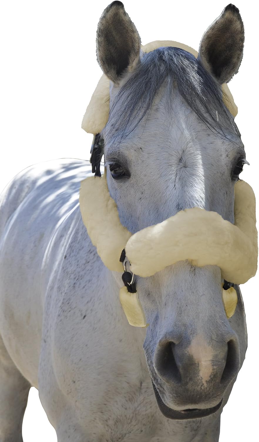ECP Equine Comfort Products Merino Sheepskin Halter Fleece Set for Horses, 100% Natural Wool, Chafe Protection, Breathable Relief & Cushioned Comfort, Machine Washable, 6-Piece Set