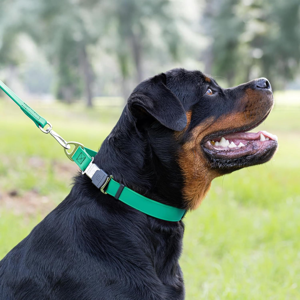 Dogline Biothane Waterproof Dog Collar with Herm Sprenger Black Stainless Steel Quick Release Buckle – Heavy Duty Tactical Durable Collar for Dogs – Comfortable and Safe Pet Collar W 3/4" L12-19 Teal