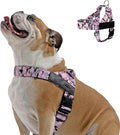 Dog Friendly Co. Dog Harness for Small Dogs (Pink Camo, XXSmall) | One Click Buckle, Chafe Resistant Webbing, Adjustable Neck & Chest, and Heavy Duty D-Ring, Sturdy Comfortable and Easy to Use