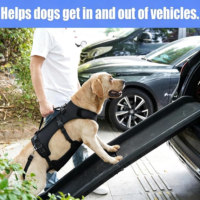 COODEO Dog Lift Harness for Large Dogs, Full Body Support Mobility Aid for Senior Dogs, Adjustable Help for Weak Hind Legs, Arthritis, Stairs & Cars(Black,M)