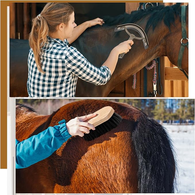 Abbylike 12 Pieces Horse Grooming Kit Racing Festival Tack Room Supplies Horse Brush Sets Equine Care Cleaning Kit Shedding Grooming Massaging Tools(Dark Gray)