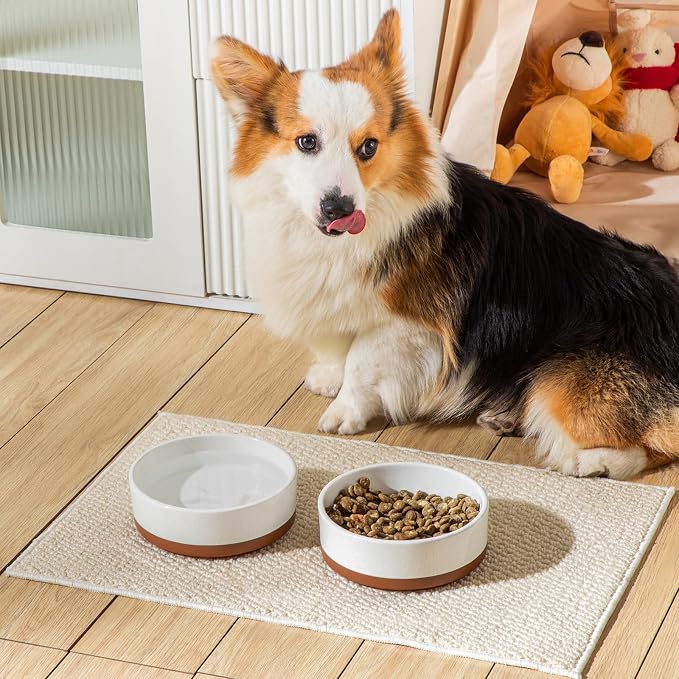 MALACASA Dog Bowls, Ceramic Dog Food and Water Bowls for Medium Size Dogs, 3.5 Cups Capacity Pet Bowl for Medium Dogs (M-3.5 Cups)