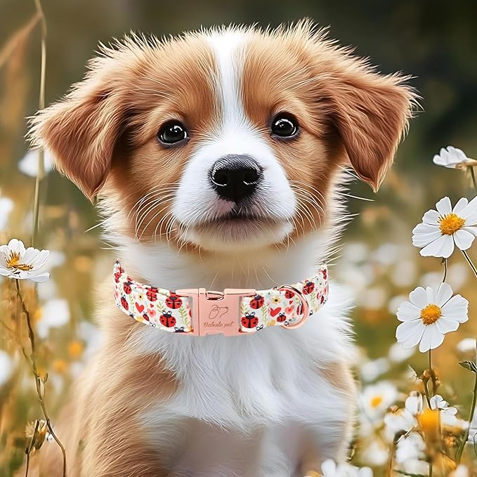 Cute Dog Collar for Large Dogs - Red Ladybug & Blooms Dog Collars, Adjustable Heavy Duty Pet Collar for Dog Moms & Kids with Metal Buckle L