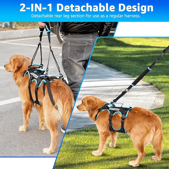 Dog Lift Harness for Large Male Dogs, 2-in-1, Back Leg Support & Mobility Assistance for Senior Dogs, Post-Surgery Recovery Sling(Black, Large)