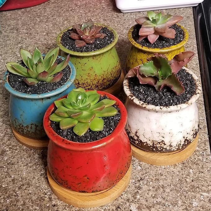 TOYPOPOR 6lb Succulents and Cactus Black Sand, Décor & Additive Tiny Stones, DIY Rocks Gravel, Decorative Pebbles for Bonsai, Fairy Gardening, Terrarium, Vases Fillers, Top Dressing