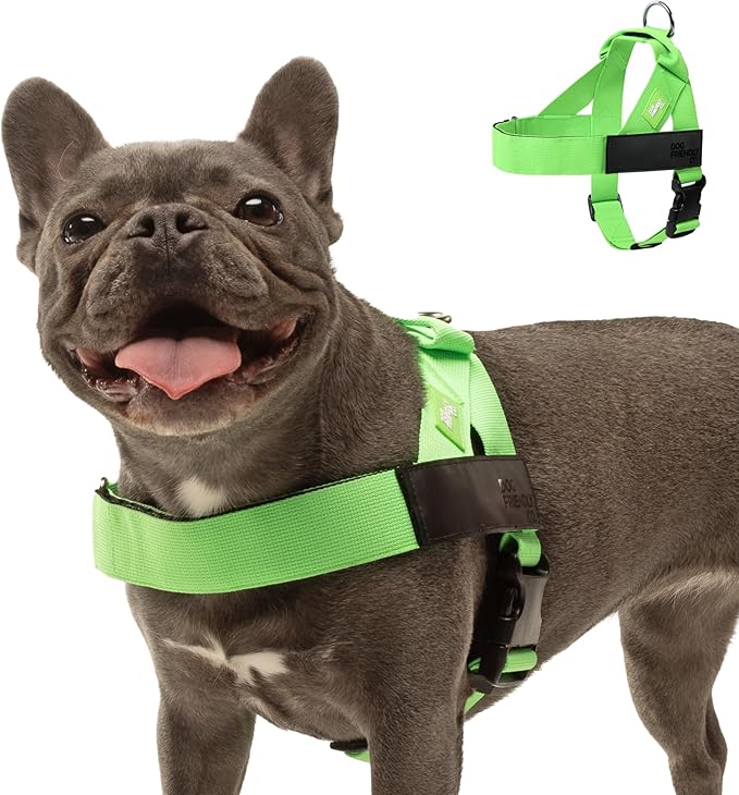 Dog Friendly Co. Dog Harness for Small Dogs (Neon Green, XXSmall) | One Click Buckle, Chafe Resistant Webbing, Adjustable Neck & Chest, and Heavy Duty D-Ring, Sturdy Comfortable and Easy to Use