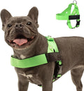 Dog Friendly Co. Dog Harness for Small Dogs (Neon Green, XXSmall) | One Click Buckle, Chafe Resistant Webbing, Adjustable Neck & Chest, and Heavy Duty D-Ring, Sturdy Comfortable and Easy to Use