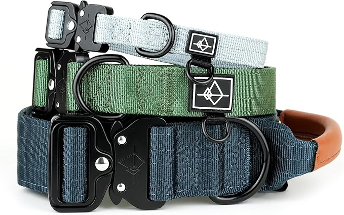 Made to ROAM Premium Explorer Control Collar - Adjustable Heavy Duty Nylon Dog Collar with Quick-Release Metal Buckle and Handle (Arizona Heartbeat, Control Size 3)