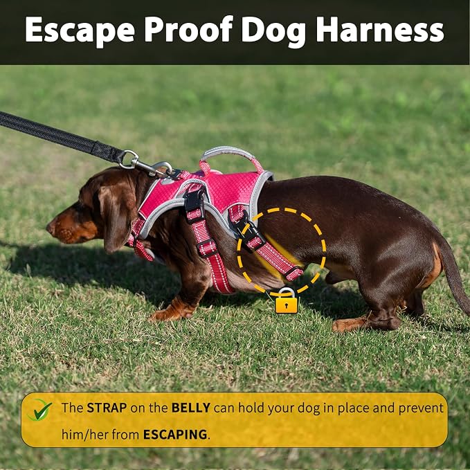 Escape Proof Dog Harness, Dachshund Harness, Reflective Dog Harness with Handle, Durable,Adjustable Vest for Small Medium Large Dogs Walking, Training, and Running Gear (Rose red,S)