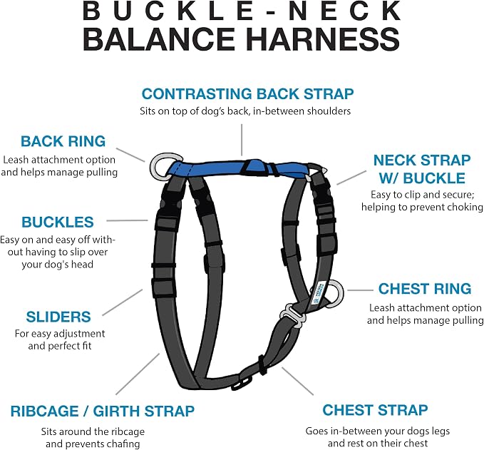 Blue-9 Buckle-Neck Balance Harness, Fully Customizable Fit No-Pull Harness, Ideal for Dog Training and Obedience, Made in The USA, Blue, Small