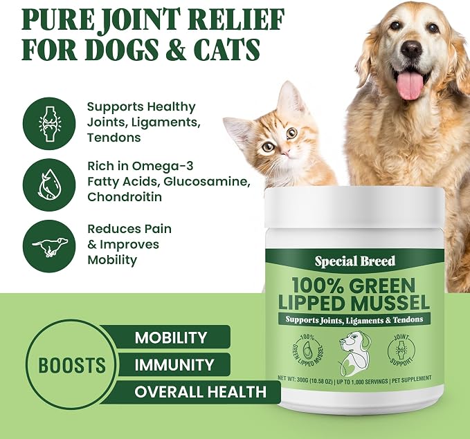 Green Lipped Mussel Powder for Dogs & Cats - 100% New Zealand Green Lipped Mussels - Natural Hip & Joint Supplement for Joints, Tendons, Ligaments, Muscles - 300 Grams - Up to 1,000 Servings
