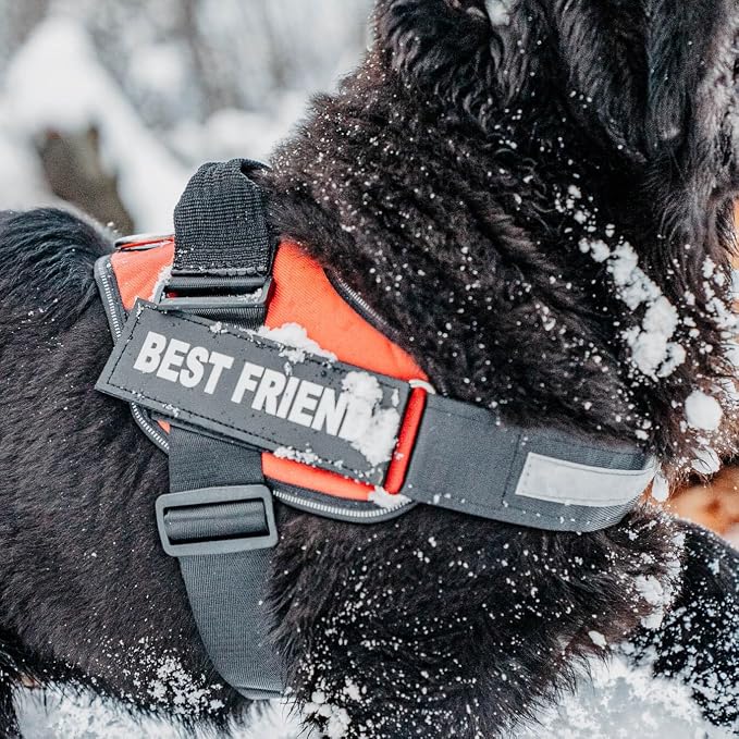 Personalized Dog Harness with Custom Name Patches, Adjustable Reflective No Choke Dog Vest with Handle for Medium Sized Dog, Orange, M